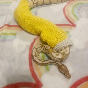 Peut inclure: Un serpent python royal avec un motif beige et marron est partiellement à l'intérieur d'un costume de banane crocheté jaune. Le costume de banane a une pointe blanche et une tige marron. Le serpent est sur une couverture blanche avec un motif arc-en-ciel.