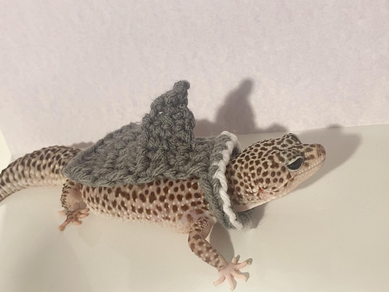 Crocheted Shark Gecko Costume | Acrylic Yarn Pet Cape - Etsy