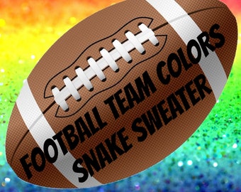 Football Team Colors Snake sweater | crocheted snake sweater | crocheted sweater