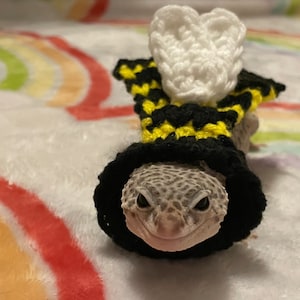 Peut inclure: Un petit lézard portant un costume d'abeille en crochet. Le costume est noir et jaune avec des ailes blanches. Le lézard regarde la caméra avec une expression sérieuse.
