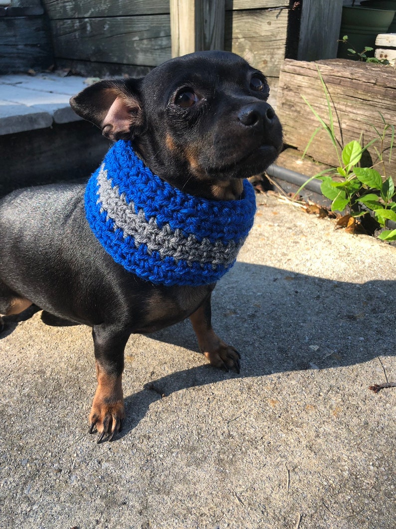 dog infinity scarf house colors dog scarf House colors dog cowls