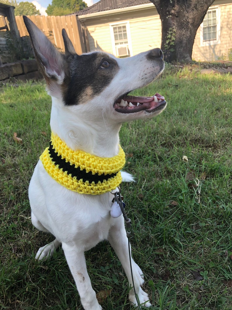 dog infinity scarf house colors dog scarf House colors dog cowls