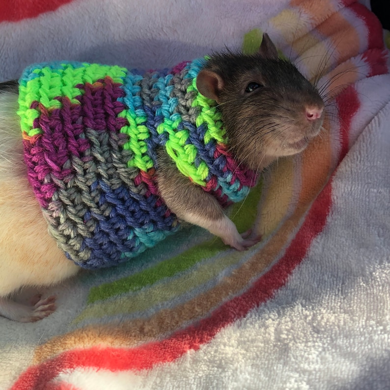 Crocheted Rat Sweater Rat Sweater Rat Clothing Etsy