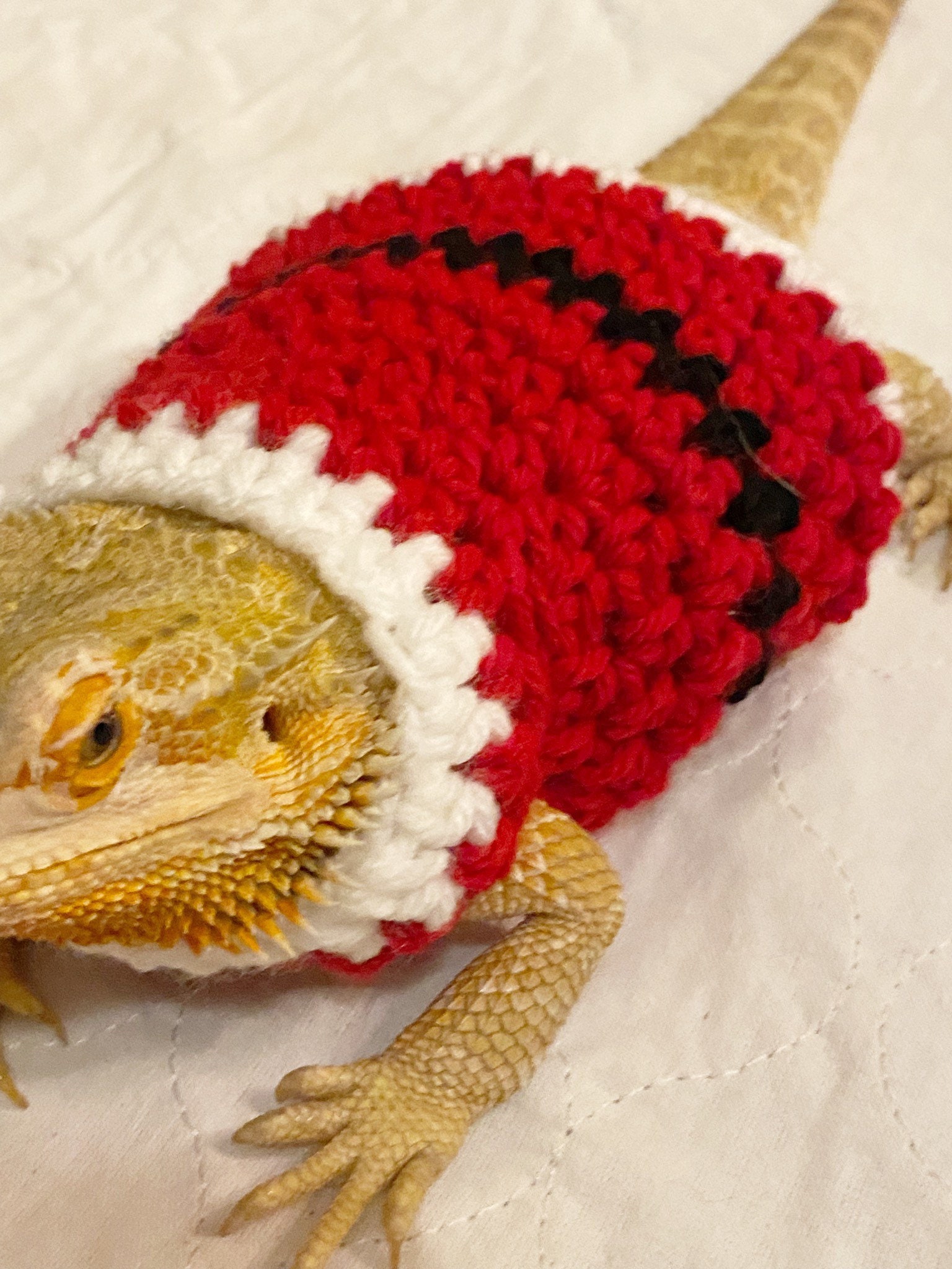 Crocheted Adult Santa Bearded Dragon Sweater | Bearded Dragon Costume ...
