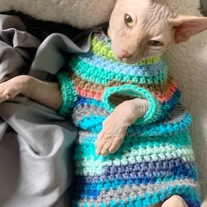 May include: A hairless cat wearing a colorful striped crocheted sweater. The sweater is blue, green, gray, and brown.