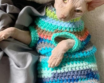 Könnte beinhalten: Eine haarlose Katze trägt einen bunten gestreiften Häkelpullover. Der Pullover ist blau, grün, grau und braun.