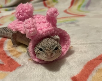 Bunny gecko costume | gecko cape | crocheted | pet costume