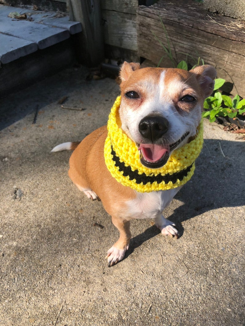 dog infinity scarf house colors dog scarf House colors dog cowls