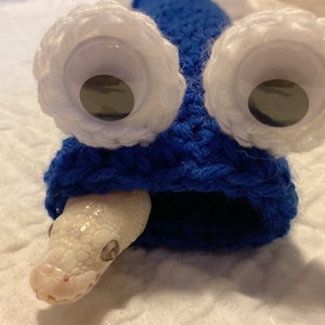 Könnte beinhalten: Eine weiße Schlange mit einer blauen Strickmütze mit weißen Glitz Augen. Die Schlange schaut aus der Mütze.