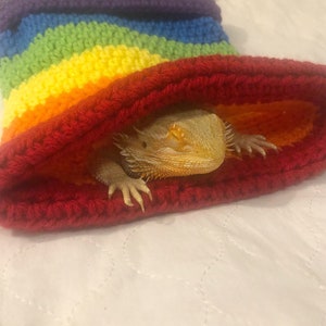 May include: A small, light-colored lizard with a spiky back is resting inside a rainbow-colored crocheted sleeping bag. The sleeping bag is made of red, orange, yellow, green, blue, and purple yarn.