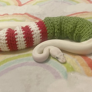 Op de afbeelding: Een witte slang die een rood-wit gestreepte gebreide trui draagt met een groene gebreide trui eroverheen.