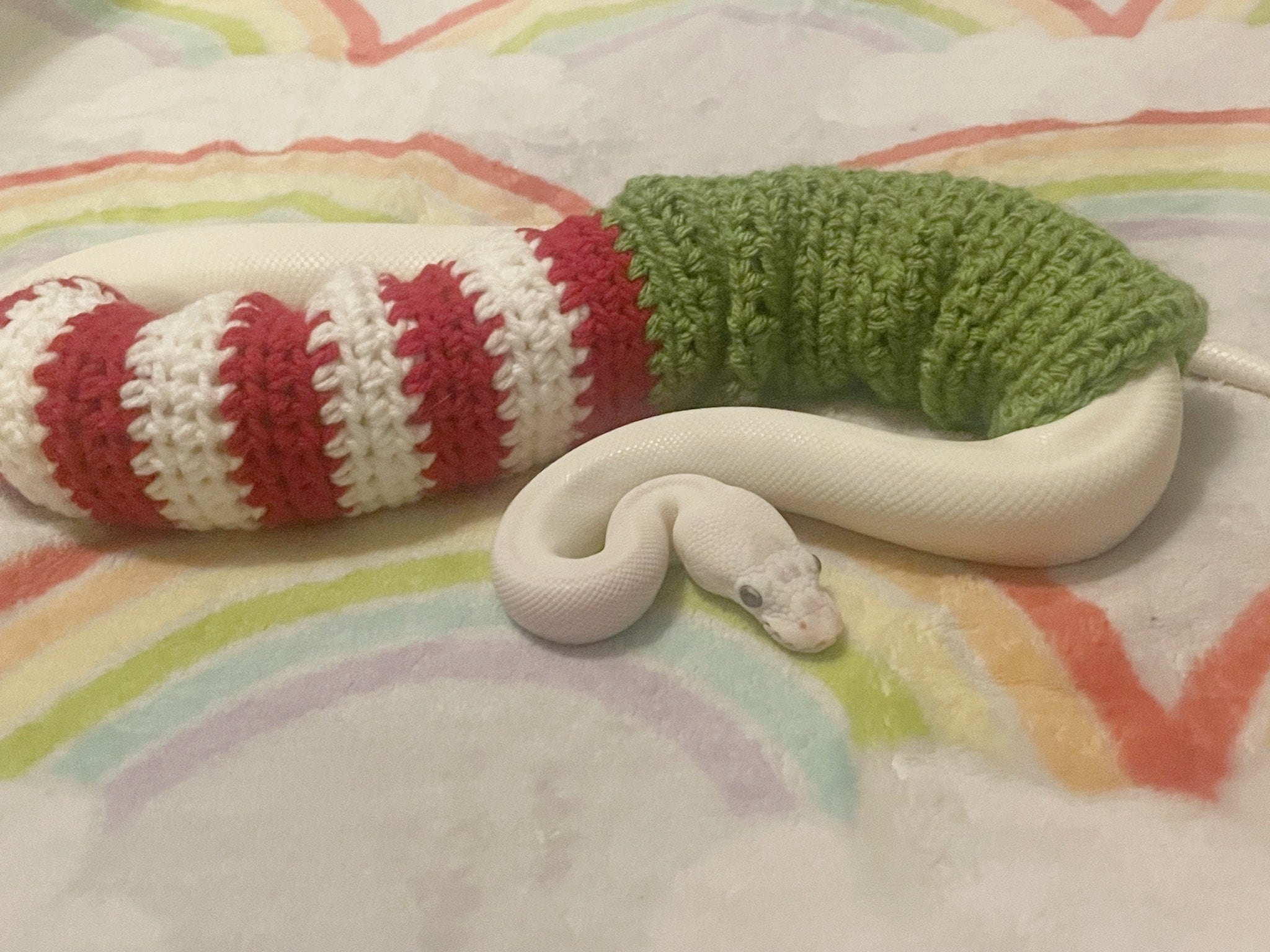 Snake Sweater | Grouchy Sweater | Crocheted Snake Sweater