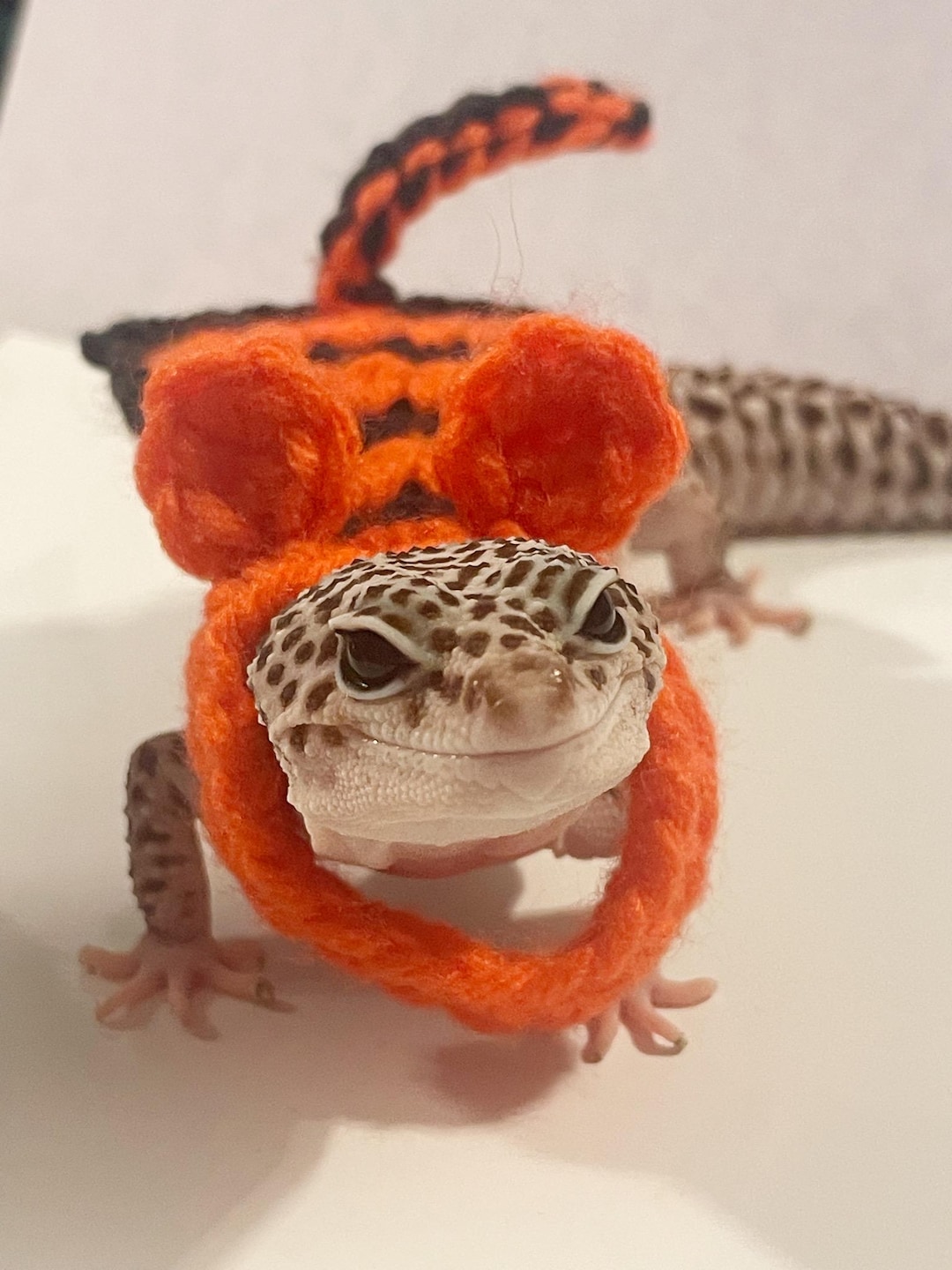 Crocheted Tiger Gecko Costume | Acrylic Pet Cape - Etsy