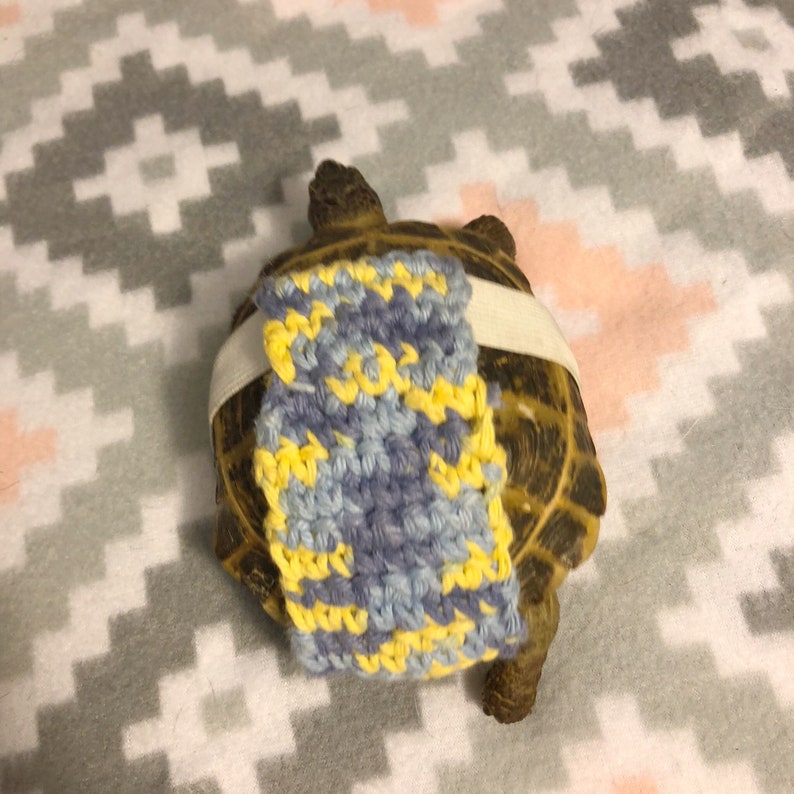 Pumpkin Tortoise diaper image 5