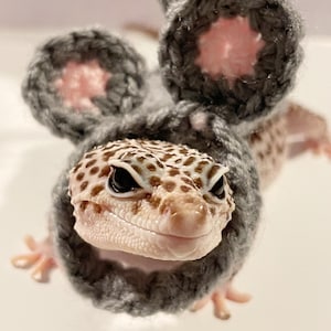 May include: A leopard gecko wearing a gray crocheted mouse hat with pink inner ears. The gecko has a spotted pattern on its head and body. The hat has two round ears and a tail. The gecko is looking at the camera.