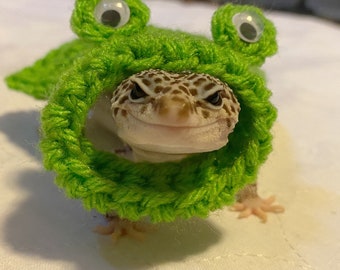 Frog gecko costume | gecko cape | crocheted | pet costume
