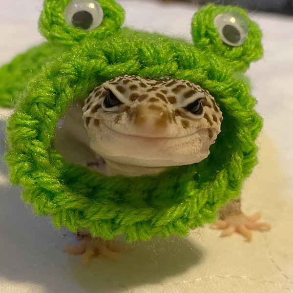 Frog gecko costume | gecko cape | crocheted | pet costume