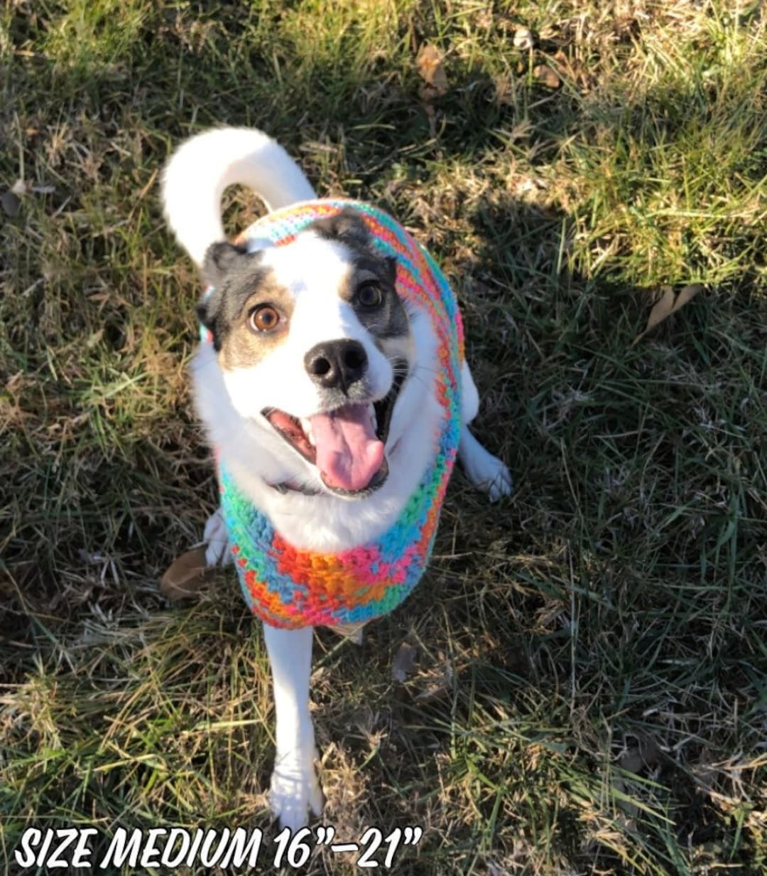 Crocheted Tripod Friendly Dog Sweater Size Medium 1621 Etsy