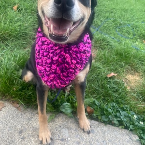 Gehaakte dierenbandana | hondenbandana | Kattenbandana