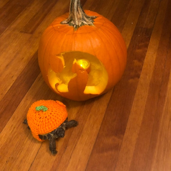 かぎ針編みのかぼちゃ型カメのコスチューム | ハロウィンのカメの帽子