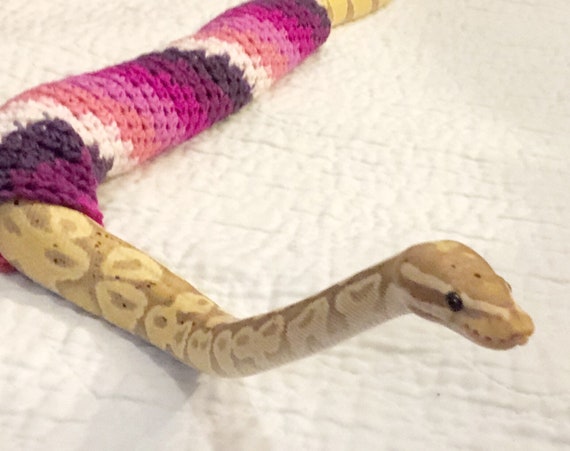 reiss aya sweatshirt