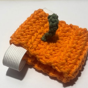 Pumpkin Tortoise diaper