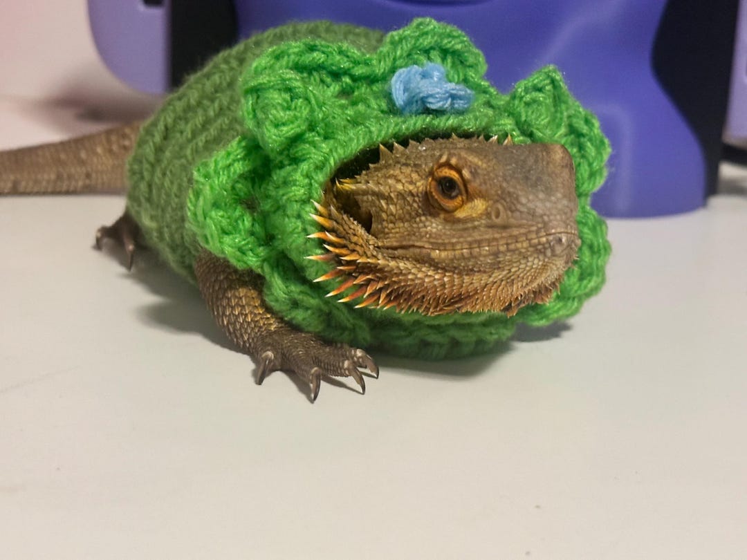 Crocheted Adult Bearded Dragon Costume | Cartoon Inspired Pet Clothing ...