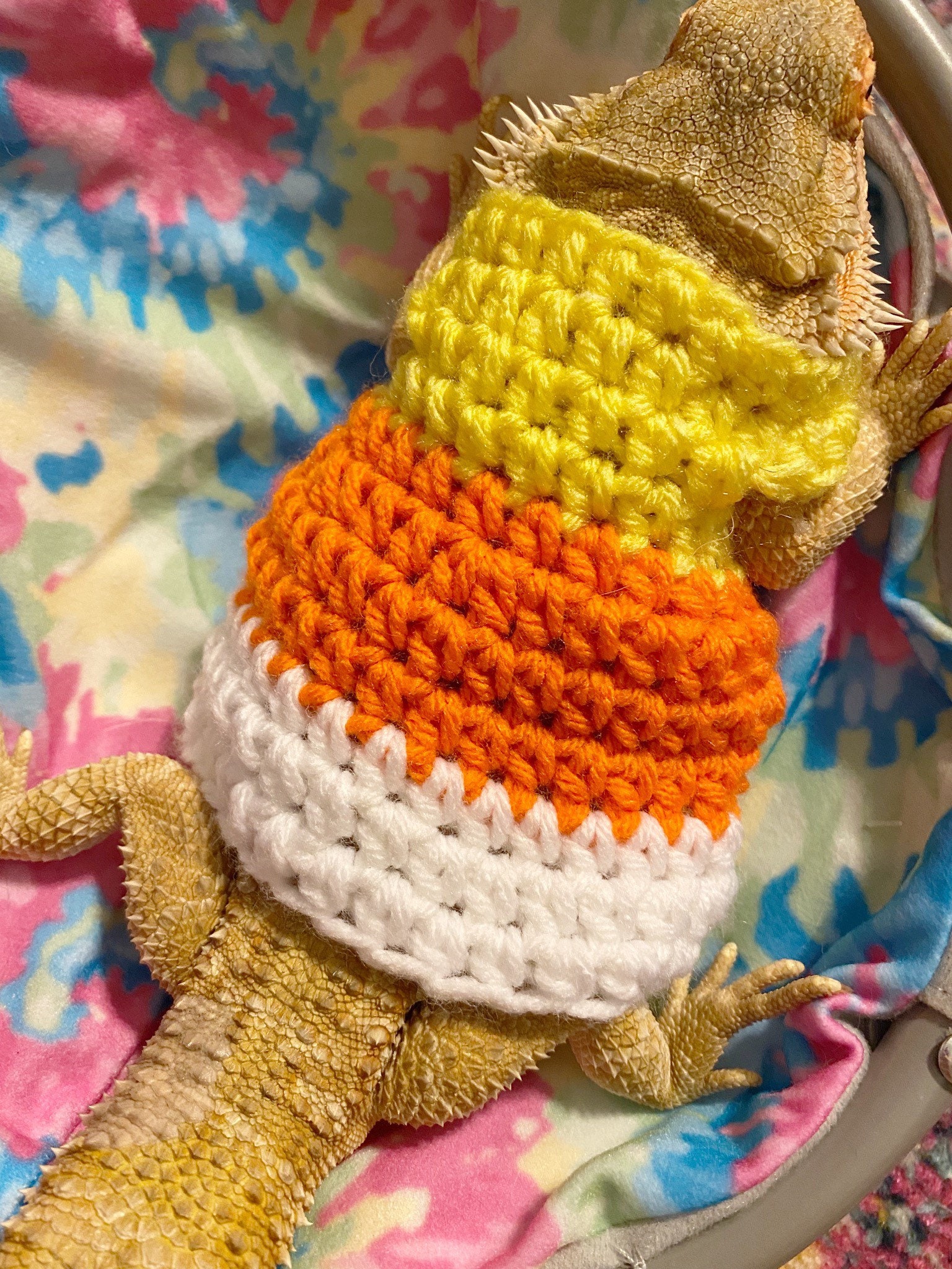Crocheted Candy Corn Costume for Bearded Dragon - Etsy