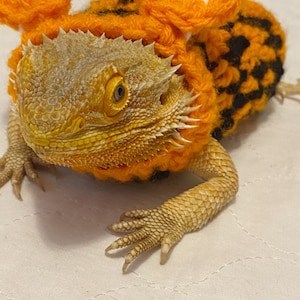 Crocheted Adult tigger bearded dragon costume | bearded dragon costume | bearded dragon clothing