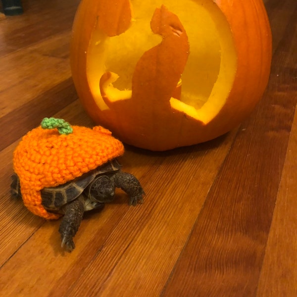 Pumpkin tortoise costume | tortoise hat | tortoise halloween costume