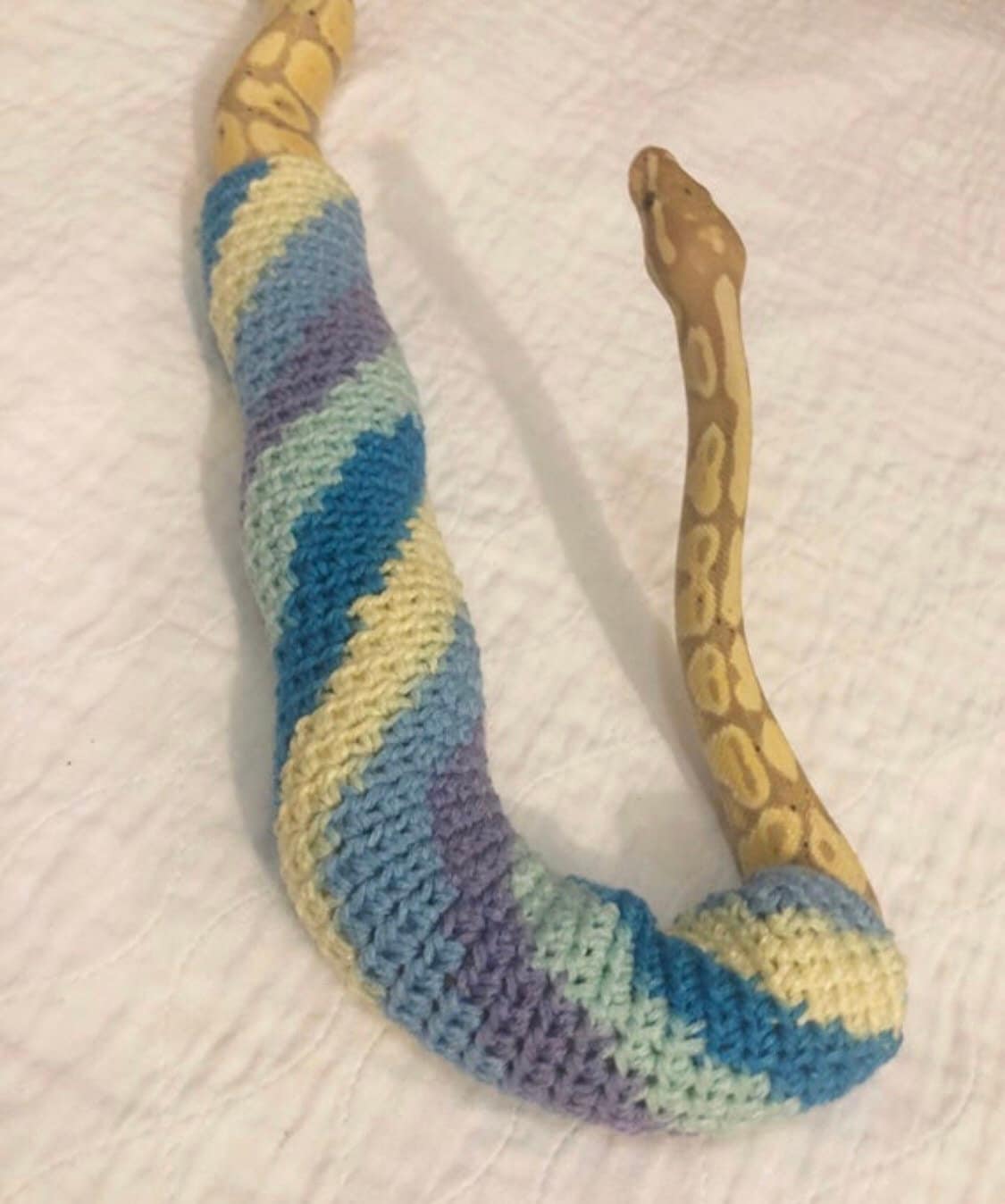 Snake sweater crocheted snake sweater crocheted sweater Etsy