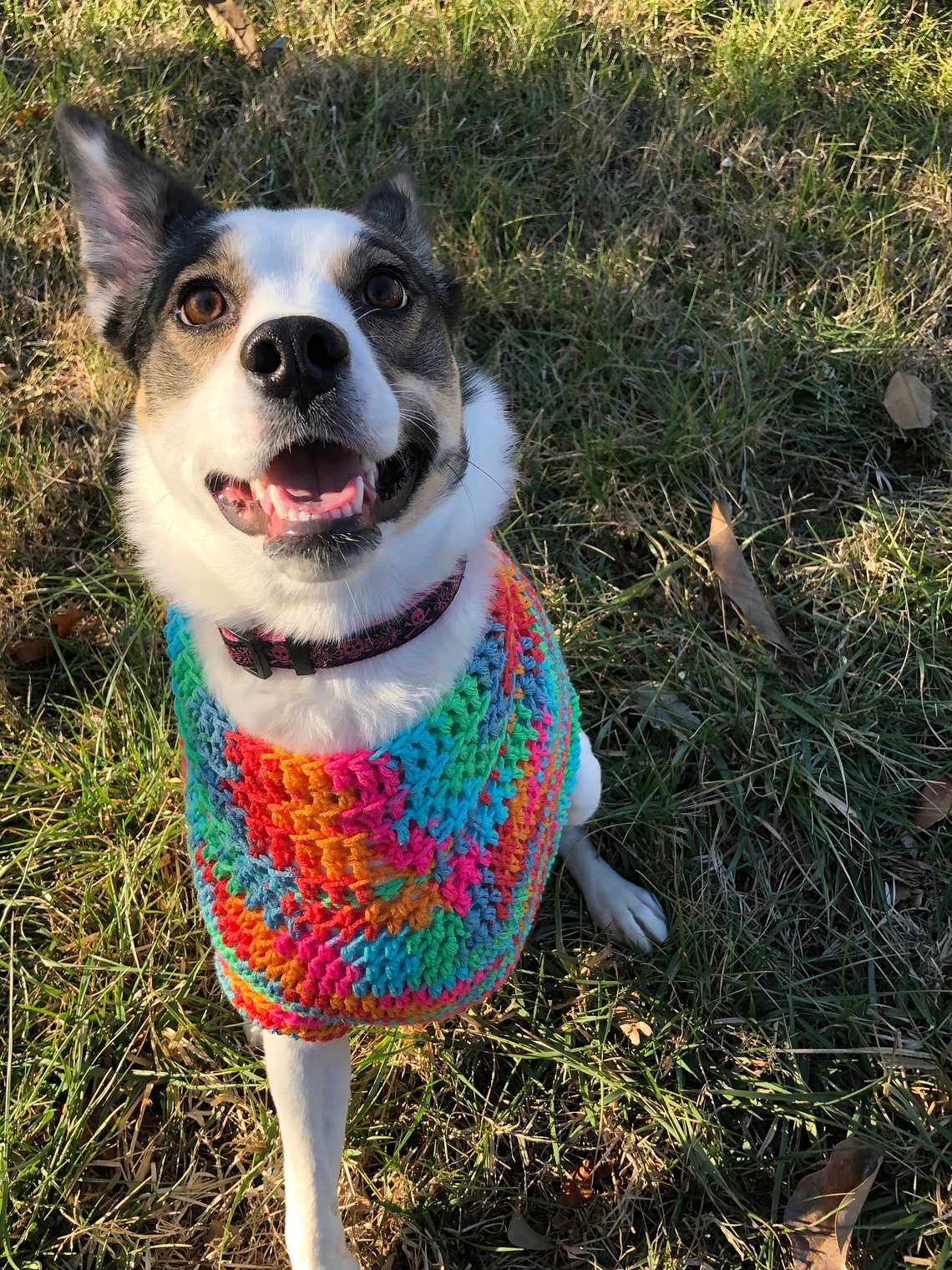 Crocheted Tripod Friendly Dog Sweater Size Small 10 15 Etsy