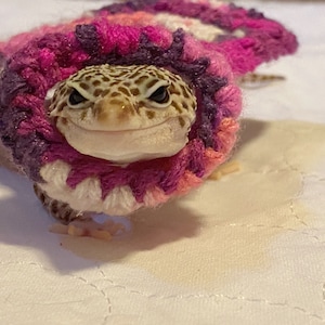 Leopard gecko sweater sale