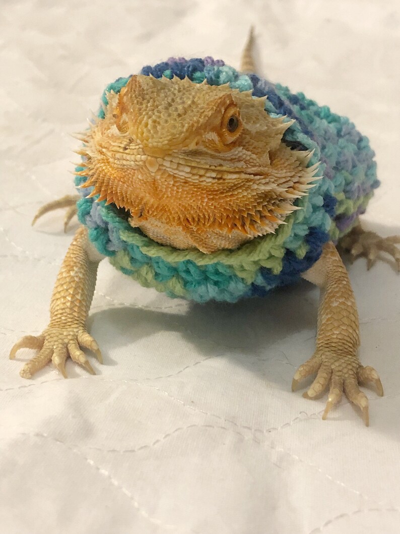 Crocheted Adult Bearded Dragon Sweater Bearded Dragon - Etsy