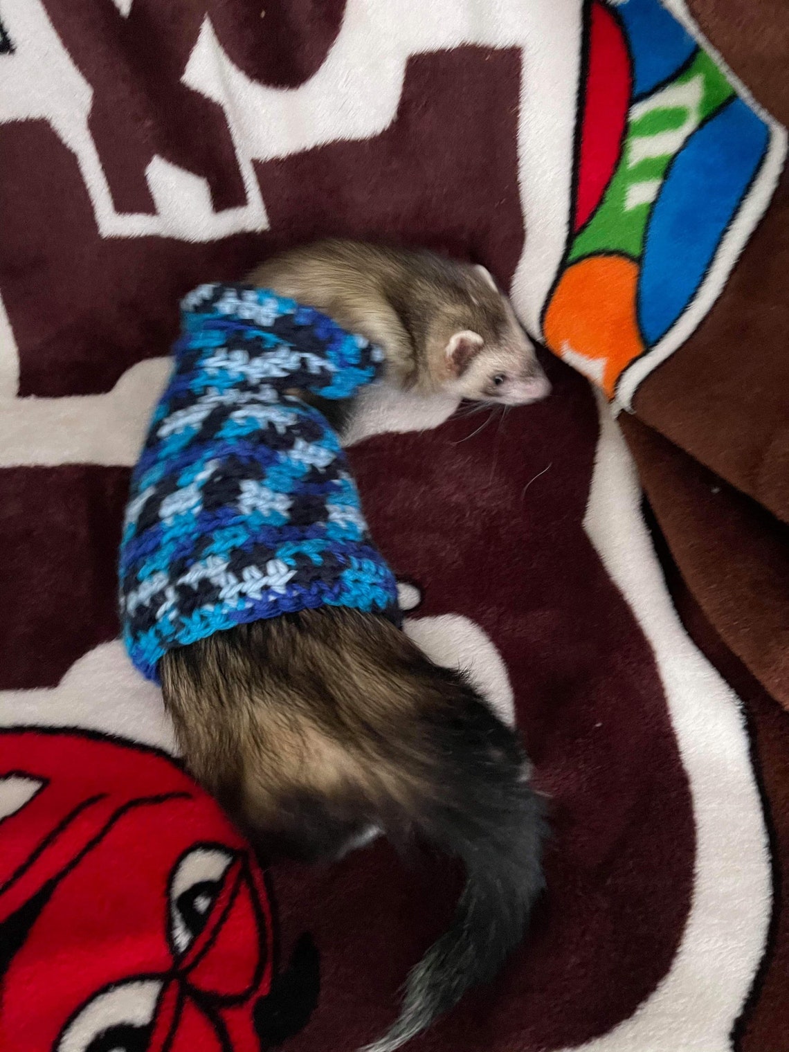 Crocheted Ferret Sweater Ferret Sweater Ferret Clothing Etsy
