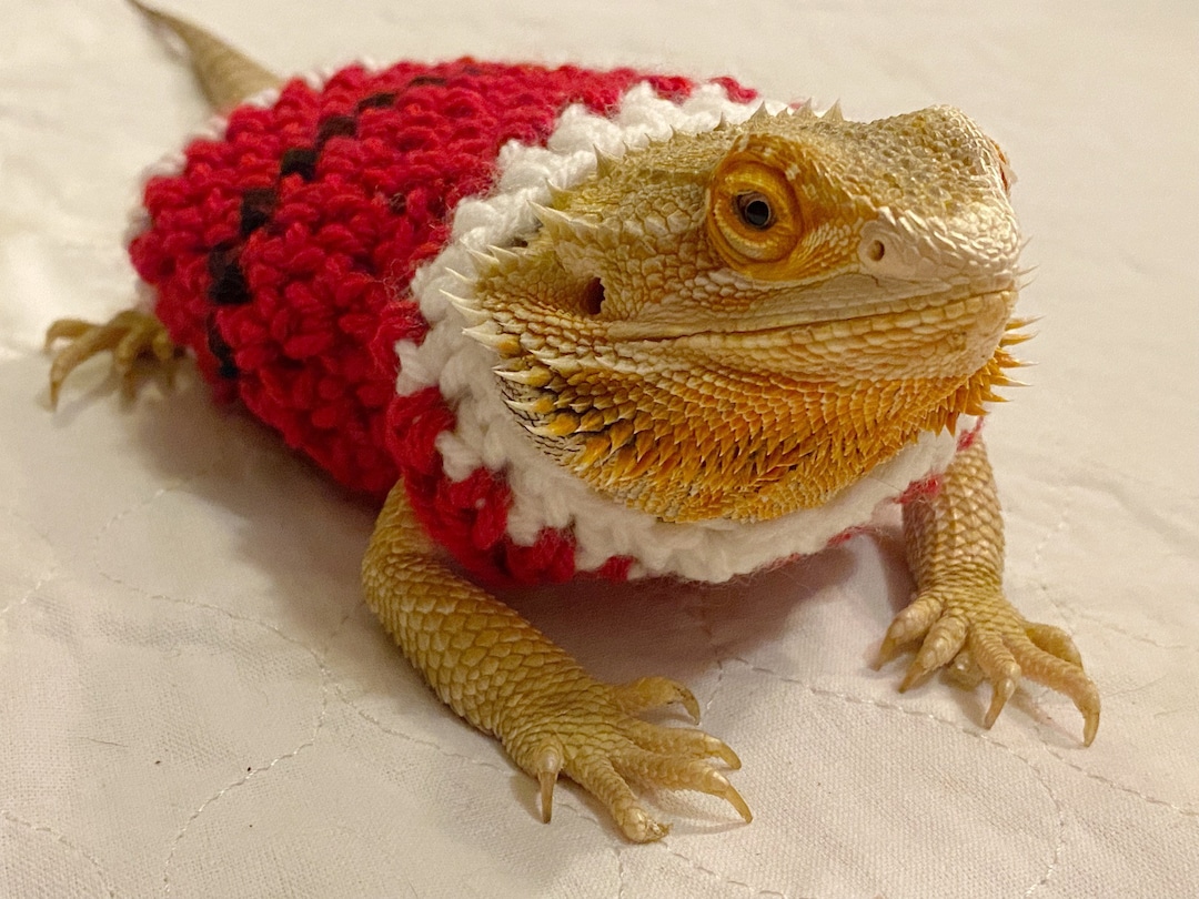 Crocheted Adult Santa Bearded Dragon Sweater Bearded Dragon