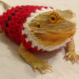 Crocheted Adult Santa bearded dragon sweater | bearded dragon costume | bearded dragon clothing