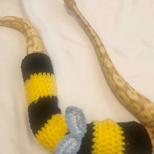 Bee Snake sweater | halloween costume | crocheted snake sweater | crocheted sweater