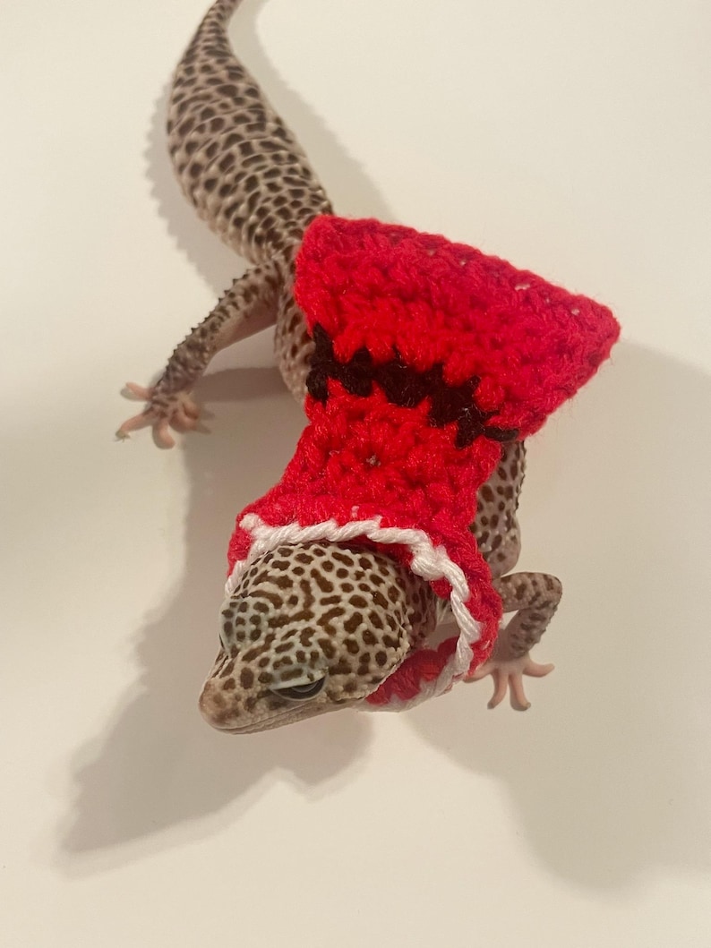 Santa Gecko Costume | Gecko Cape | Crocheted | Pet Costume - Etsy