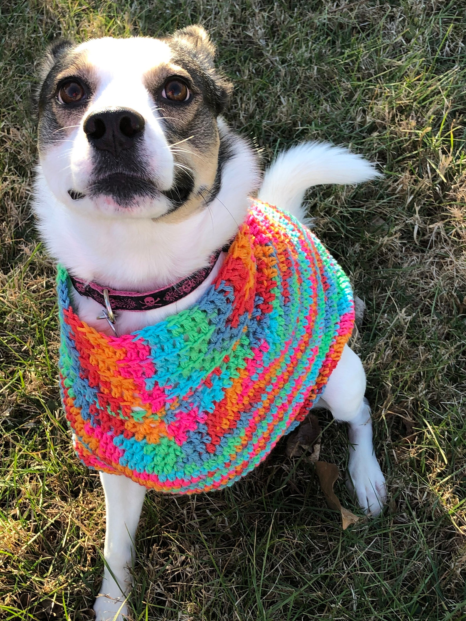 Crocheted Tripod Friendly Dog Sweater Size Small 10 15 Etsy