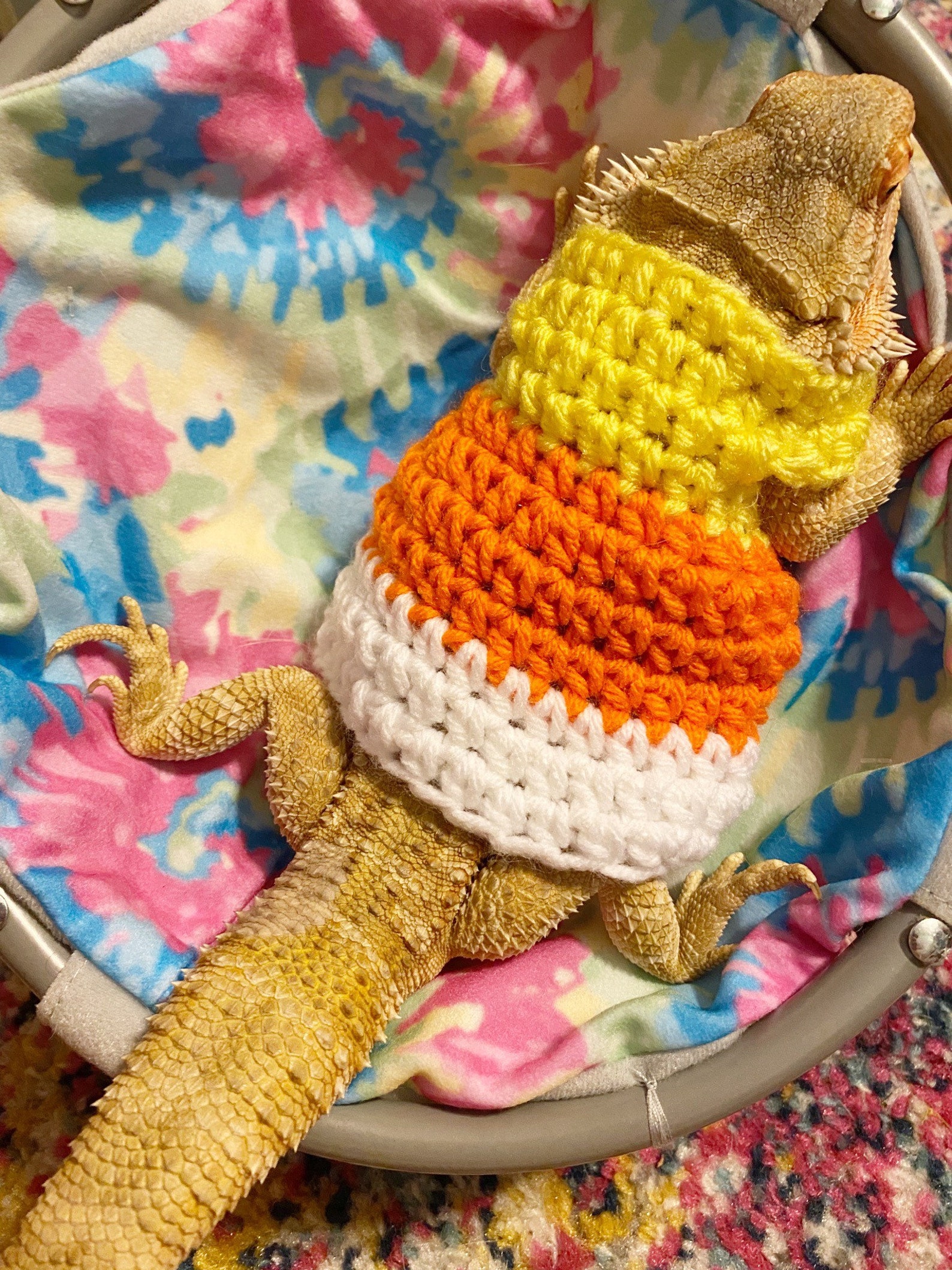 Crocheted Candy Corn Costume for Bearded Dragon - Etsy