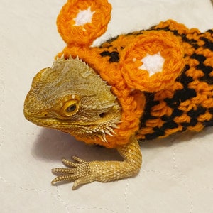 Crocheted Tigger Costume for Adult Bearded Dragon - Etsy