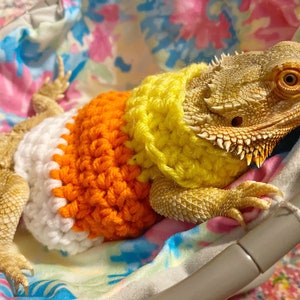 Crocheted Adult Candy Corn bearded dragon costume | bearded dragon costume | bearded dragon clothing