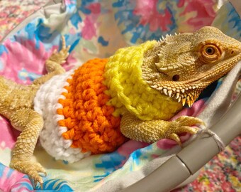 Crocheted Candy Corn Costume for Bearded Dragon
