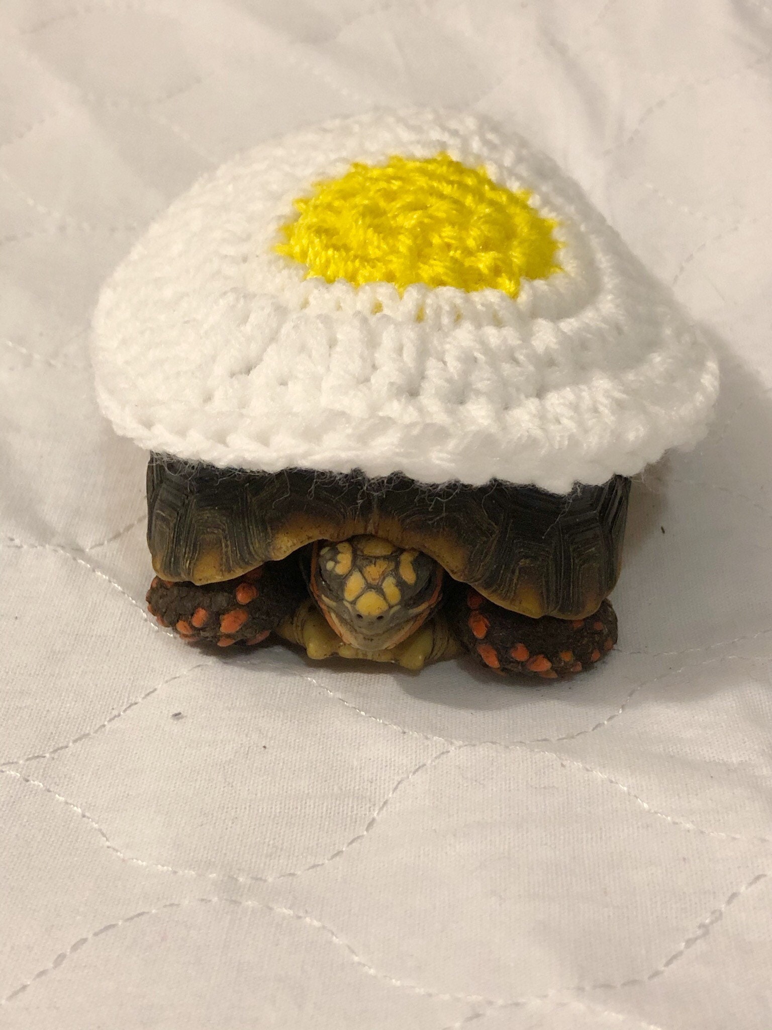 Beautysdream Sweater For Turtle Warm Winter Knitted Handmade Sweater Apparel Accessory Halloween Party Cosplay Costume Photo Shoot For Pet Tortoise Turtle (S, Stegosaurus