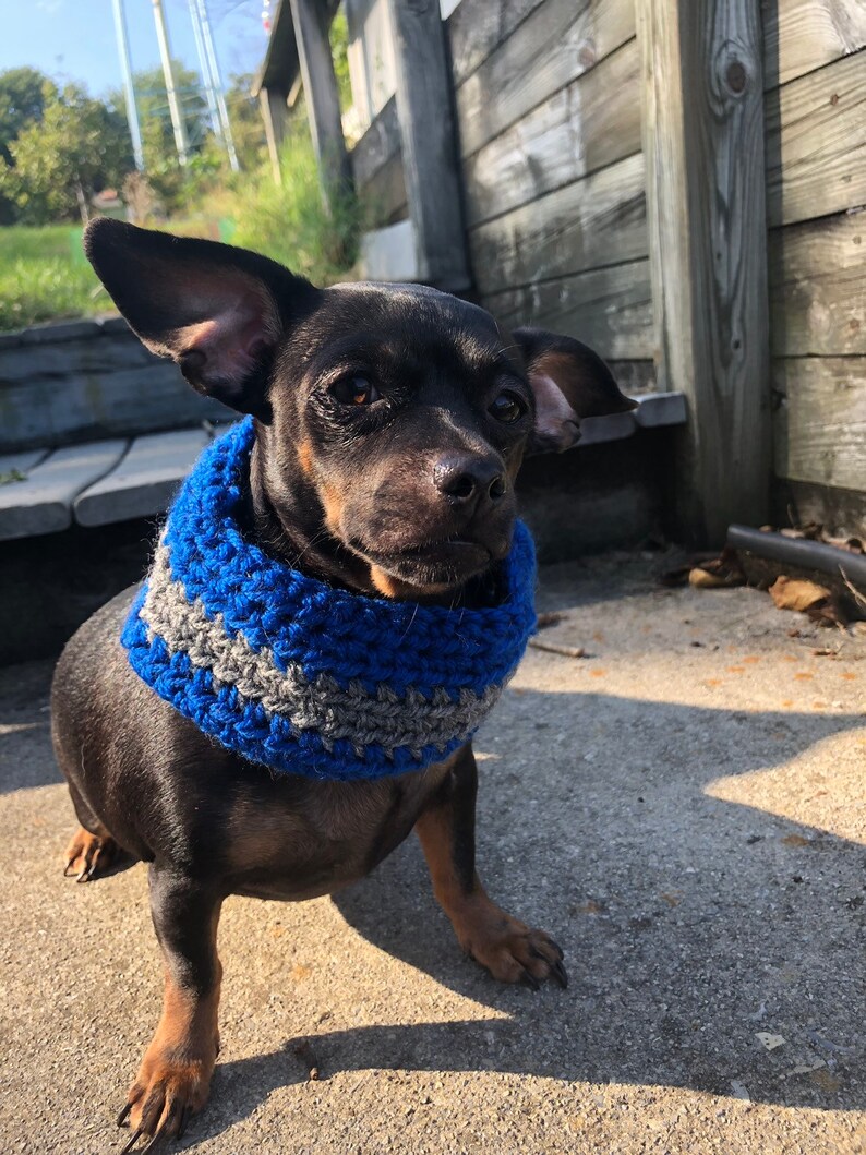 dog infinity scarf house colors dog scarf House colors dog cowls