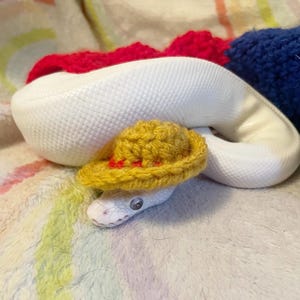 May include: A white snake wearing a yellow crocheted hat with a red band. The snake is curled up on a colorful blanket.