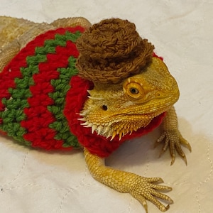 Crocheted Adult Freddy Krueger bearded dragon costume | bearded dragon costume | bearded dragon clothing