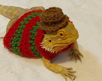 Crocheted Adult Freddy Krueger bearded dragon costume | bearded dragon costume | bearded dragon clothing