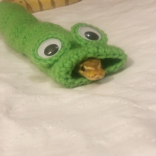 Frog Snake sweater | halloween costume | crocheted snake sweater | crocheted sweater